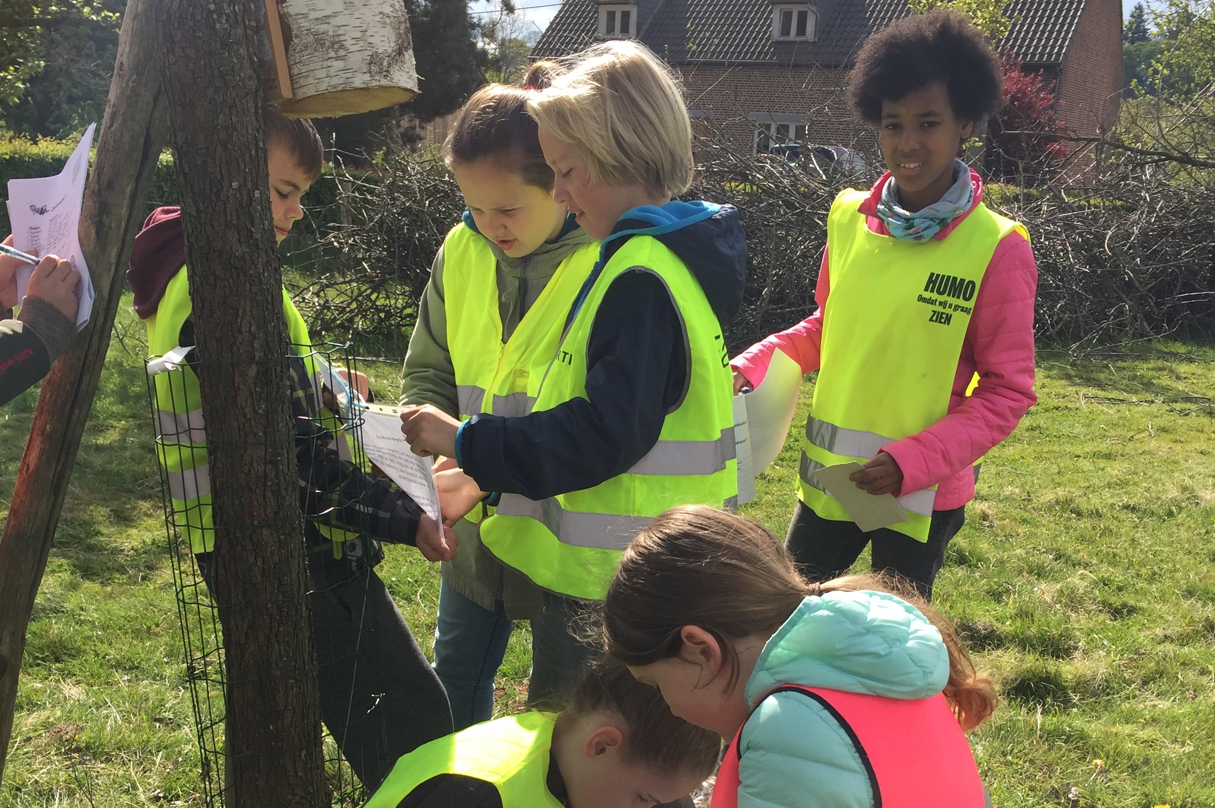 Kinderen in fruitboomgaard