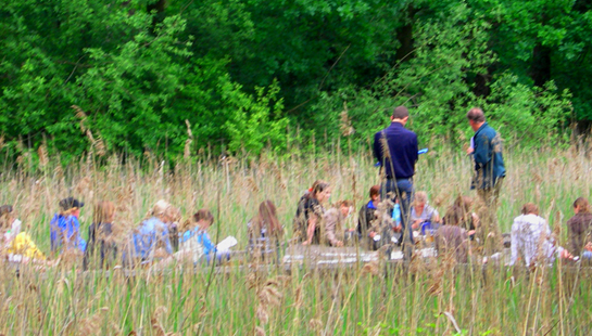 leerlingen doen met een gids aan wateronderzoek vanop een vlonder